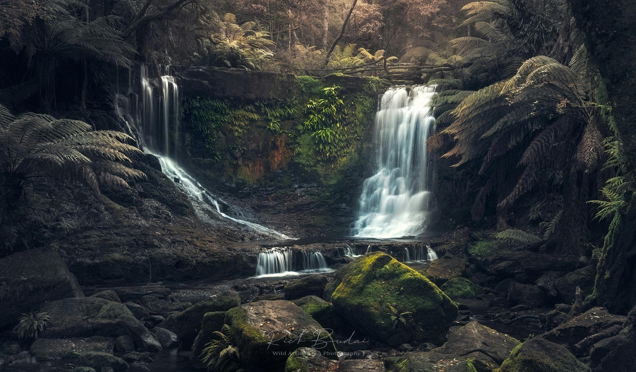 double waterfall cascade in the forest at Russell Falls