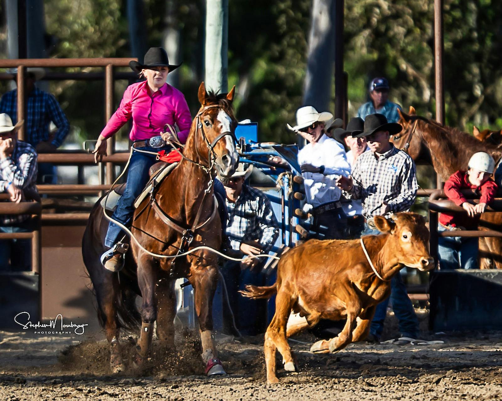North Queensland Elite Rodeo | Townsville North Queensland