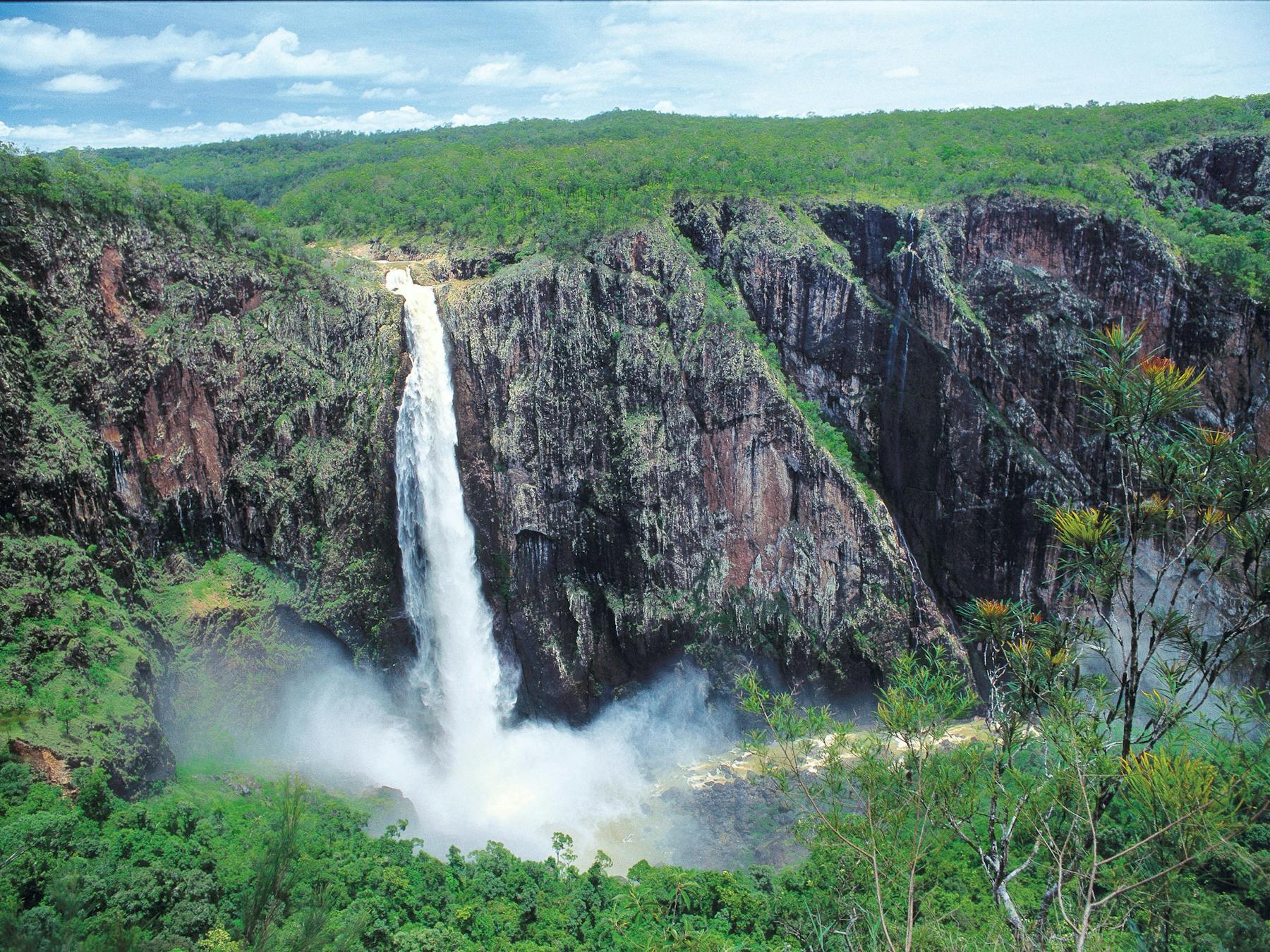 Waterfall cascading over gorge , Wallaman Falls.