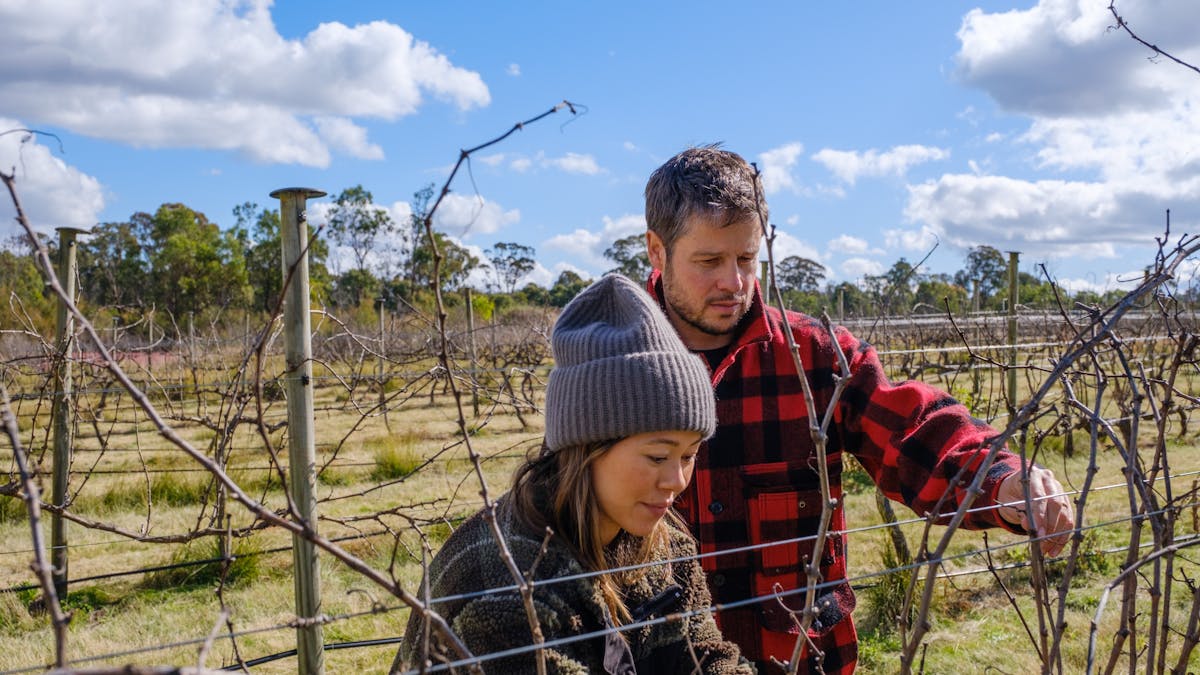 In the vineyard with Caitlin & Nick