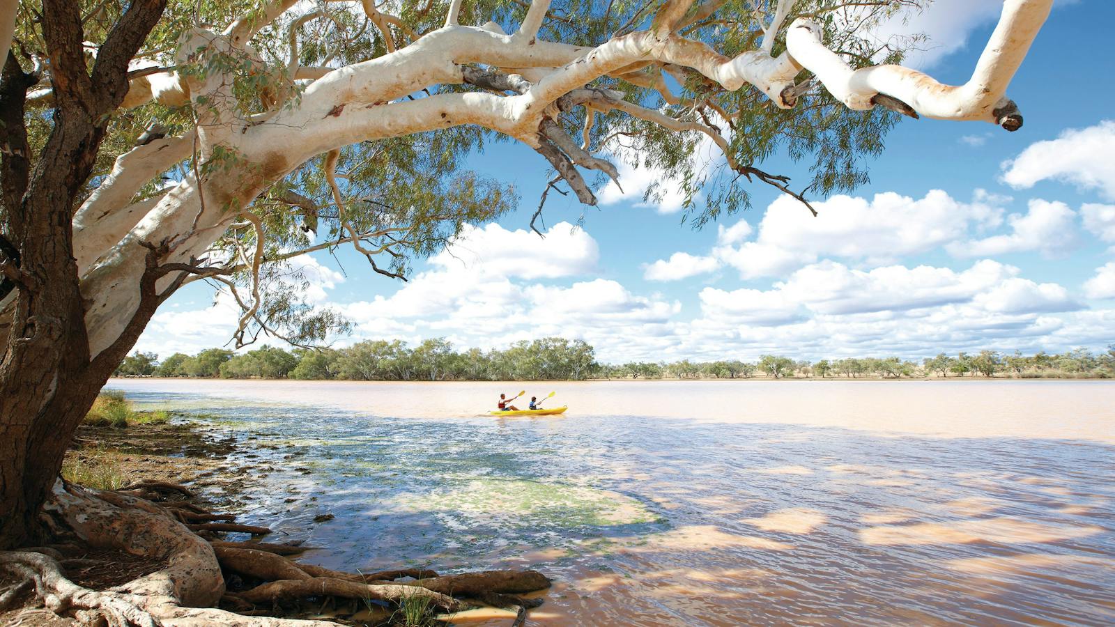 Kayaking Quilpie
