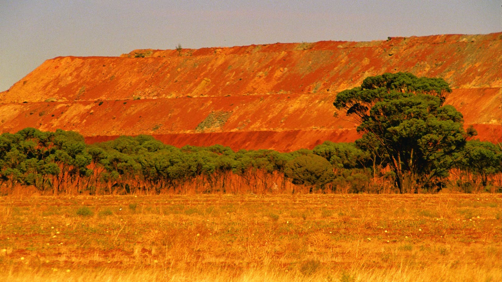 Golden Valley