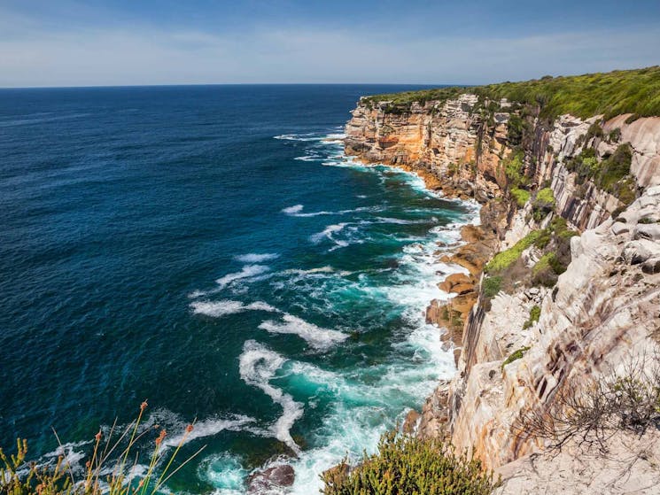 sydney sightseeing bondi cliffs