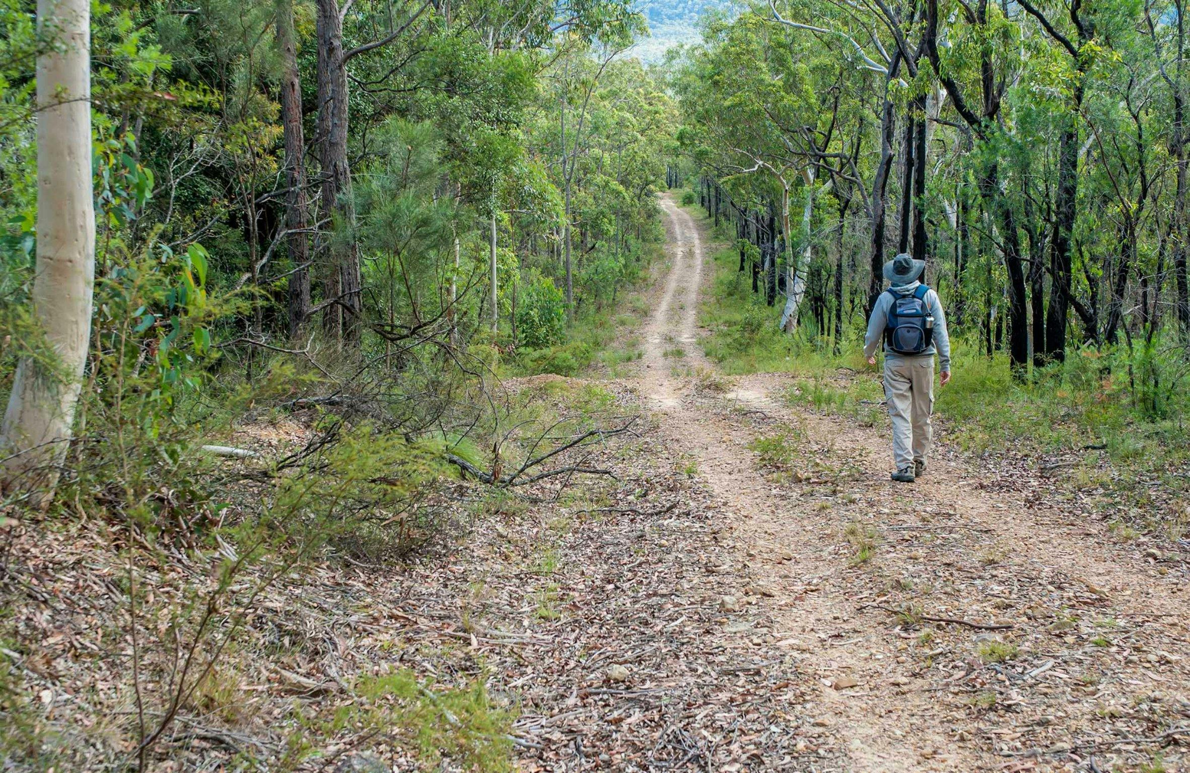 Kangaroo River walking track, Morton National Park. Photo: Michael Van Ewijk