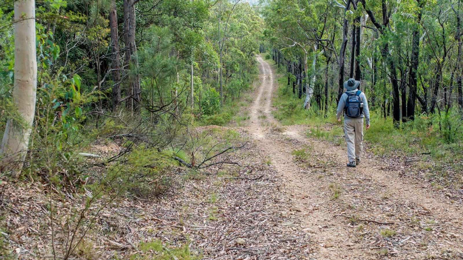 Kangaroo River Walking Track