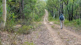 Kangaroo River walking track, Morton National Park. Photo: Michael Van Ewijk