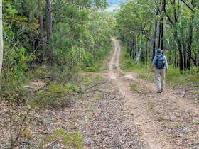 Kangaroo River Walking Track