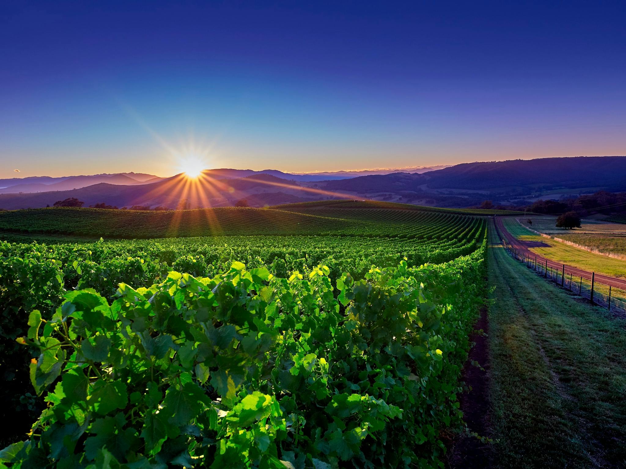 King Valley Sunrise