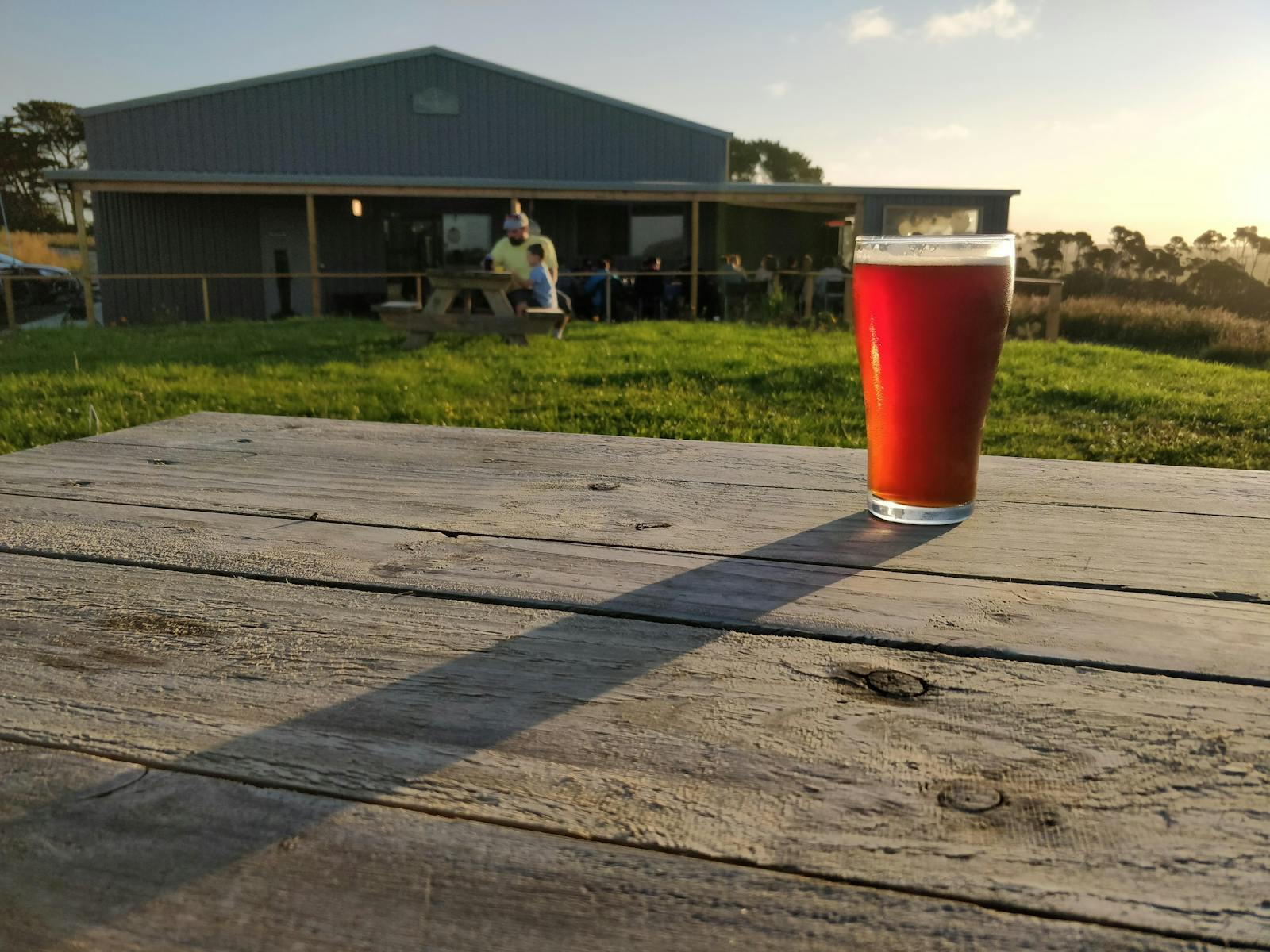 Beer on a picnic table on the lawn outside King Island Brewhouse