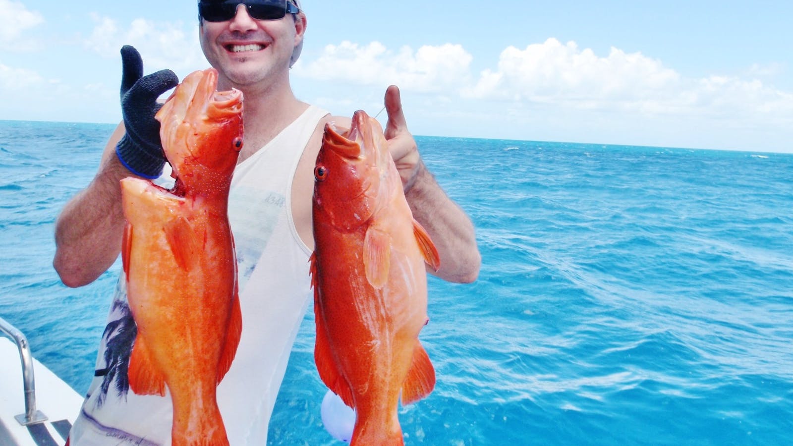 Cairns Reef Fishing