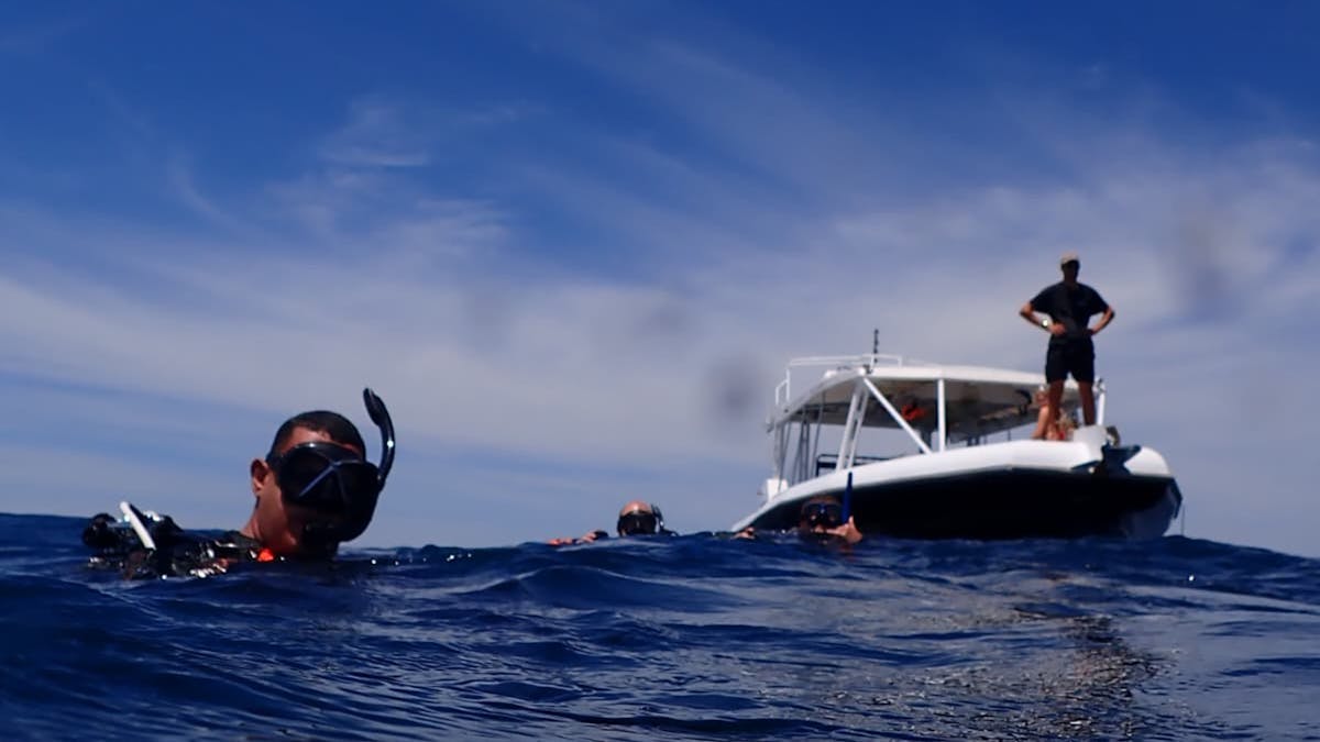 Brisbane Dive Academy - Advanced Open Water on HMAS Brisbane