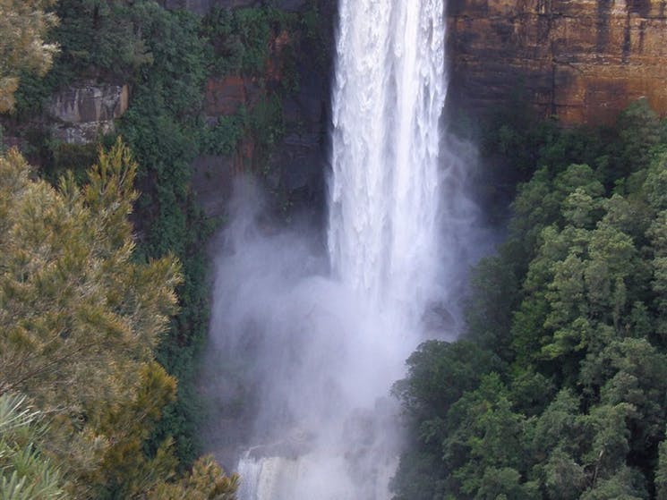 Fitzroy Falls