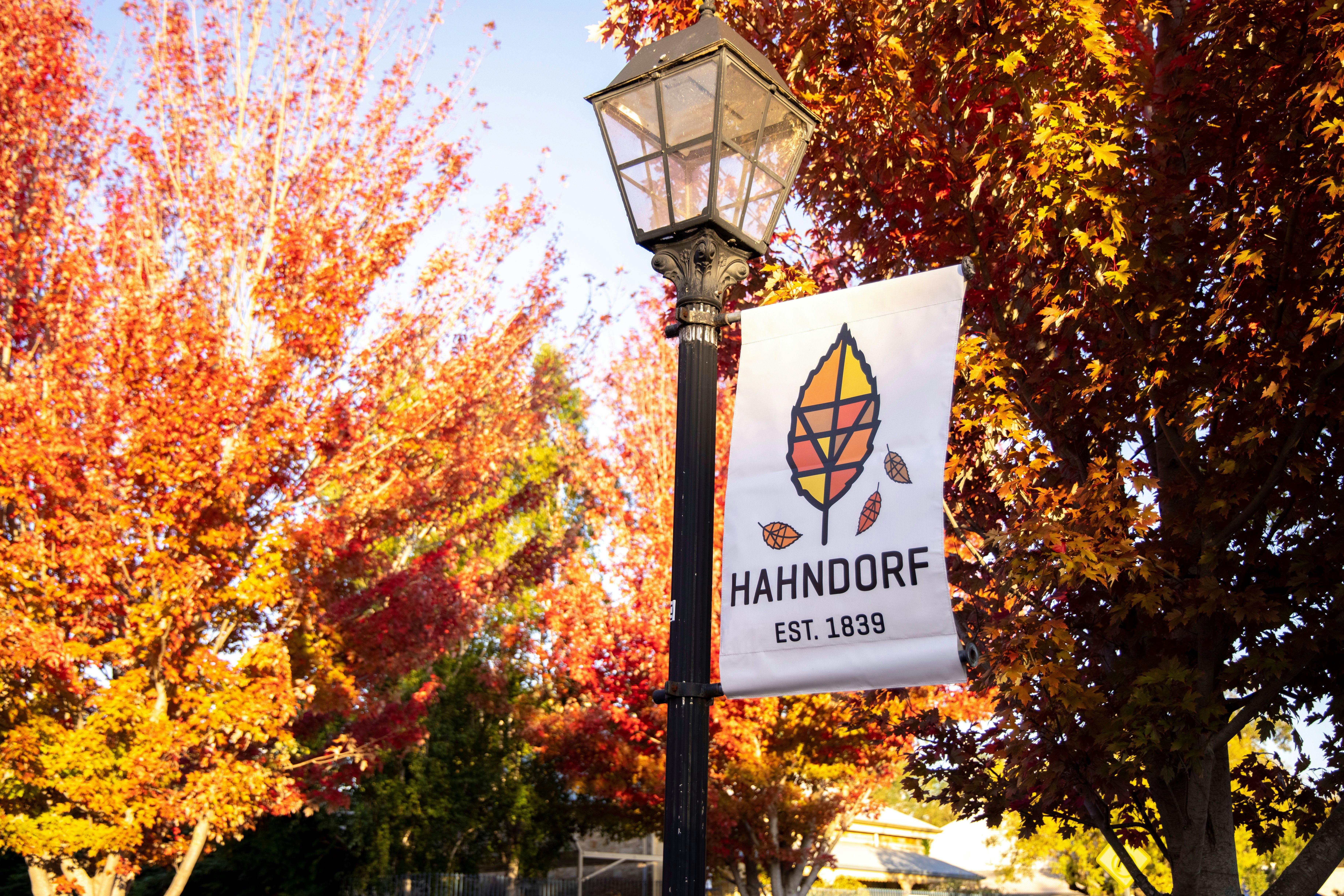 Hahndorf banner
