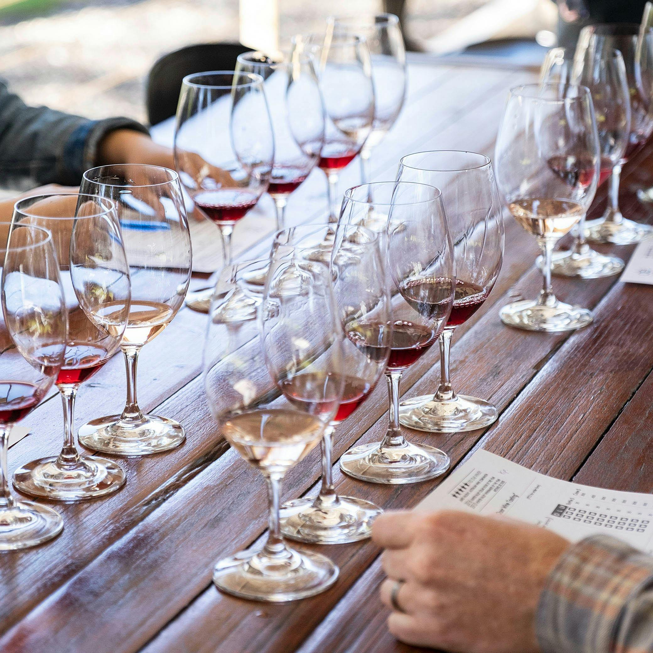 Enjoy flights of estate and single vineyard wines in the De Iuliis cellar door