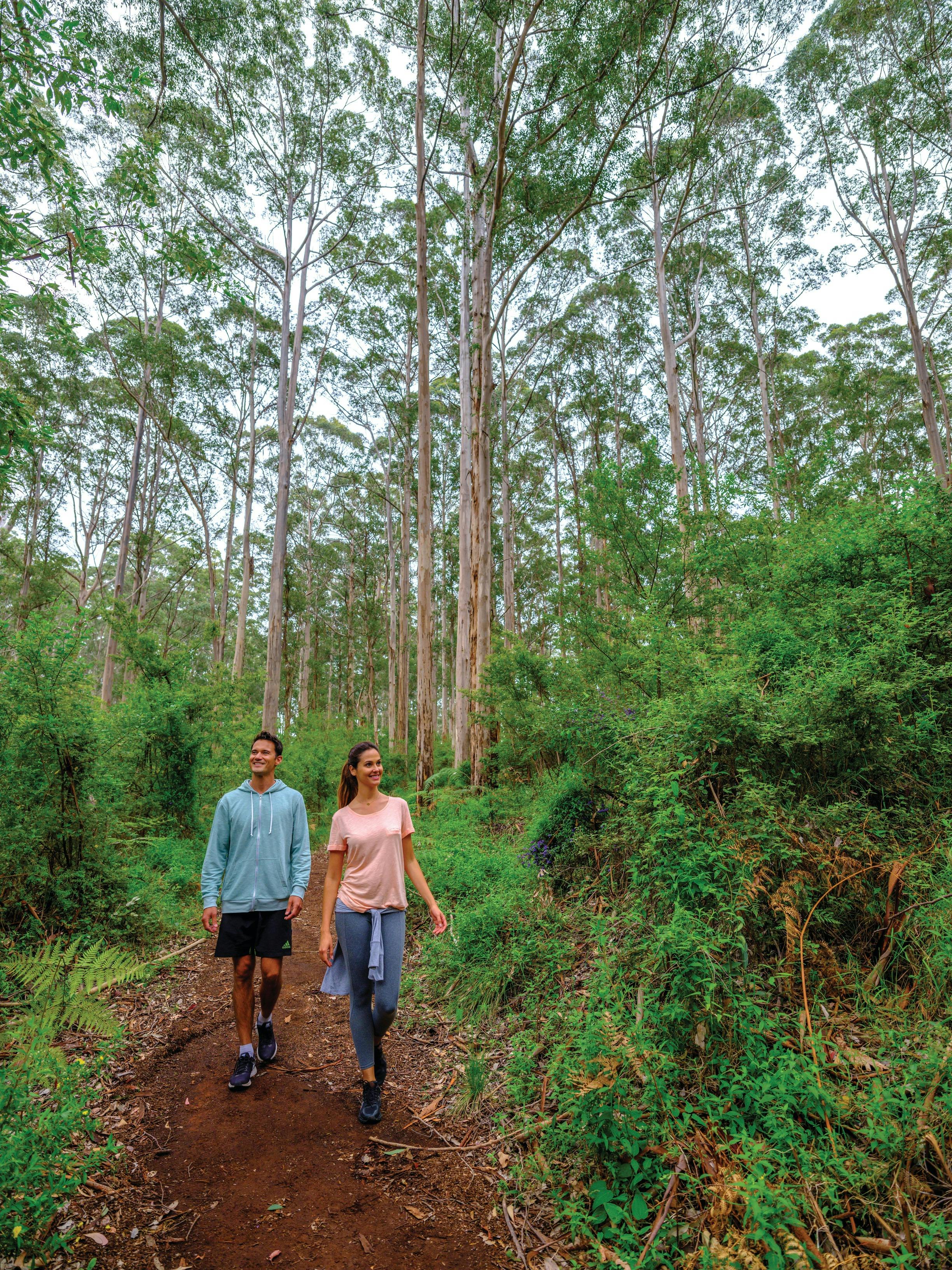 Gloucester National Park edit