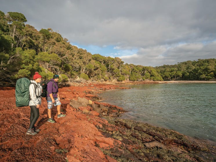 Bush walking near Bittangabee campground, Ben Boyd National Park