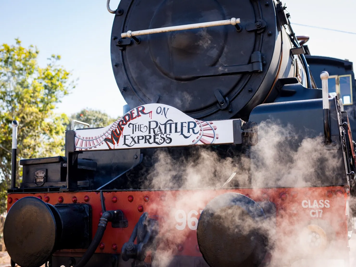 Murder on the Rattler Express - Mary Valley Rattler