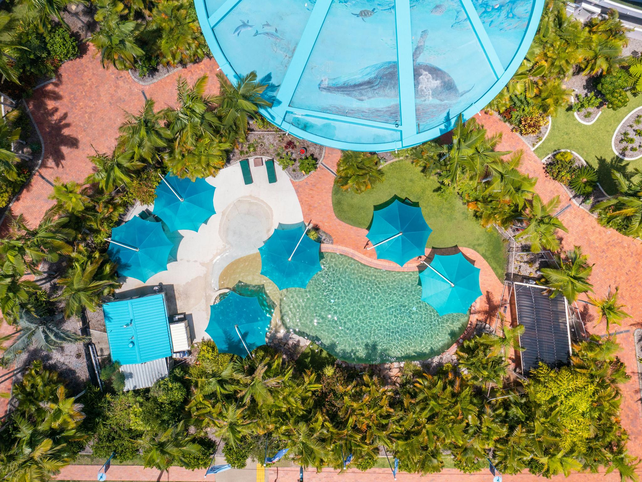 Pool Pool