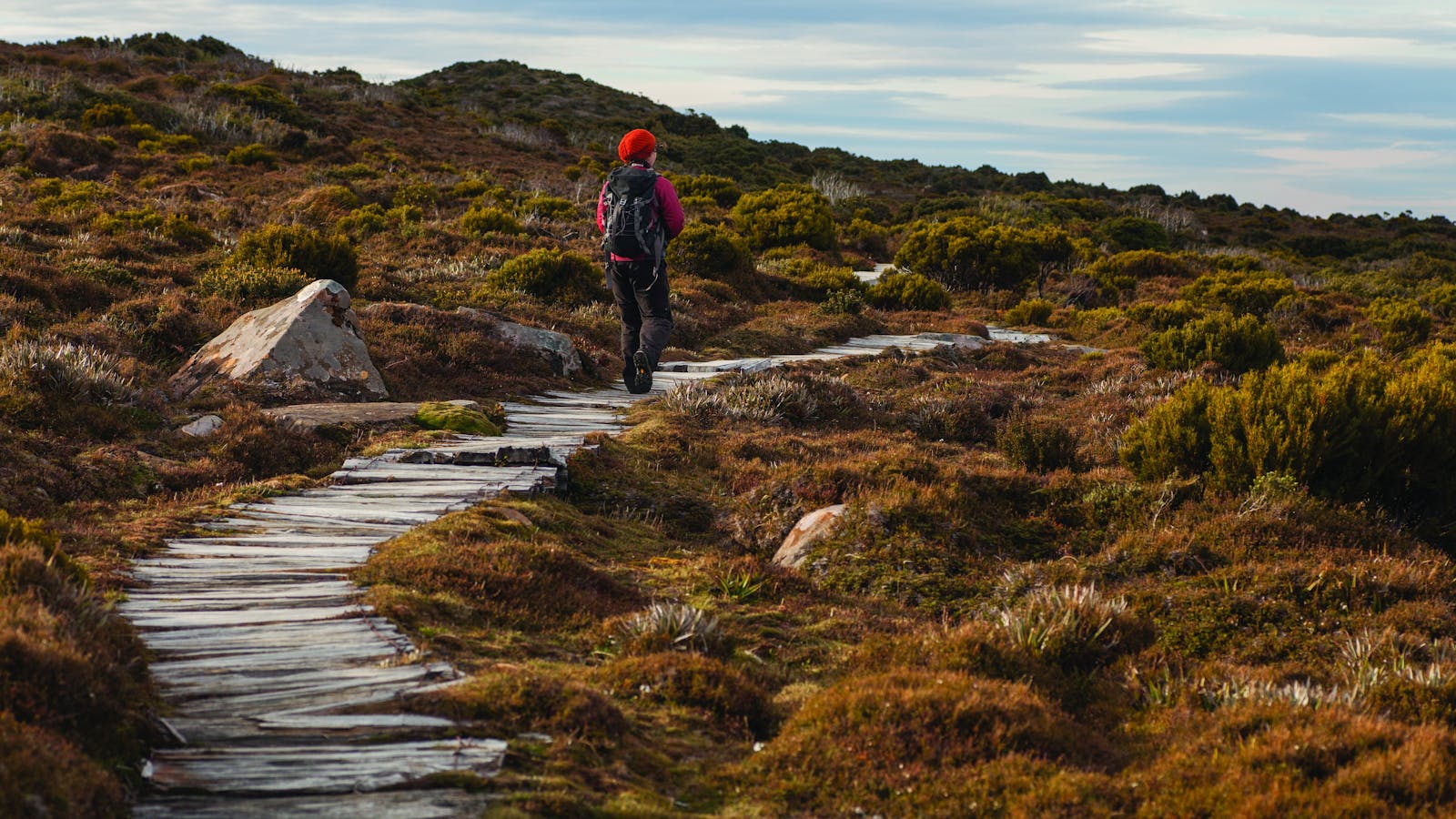 Hartz Peak - Great Short Walk