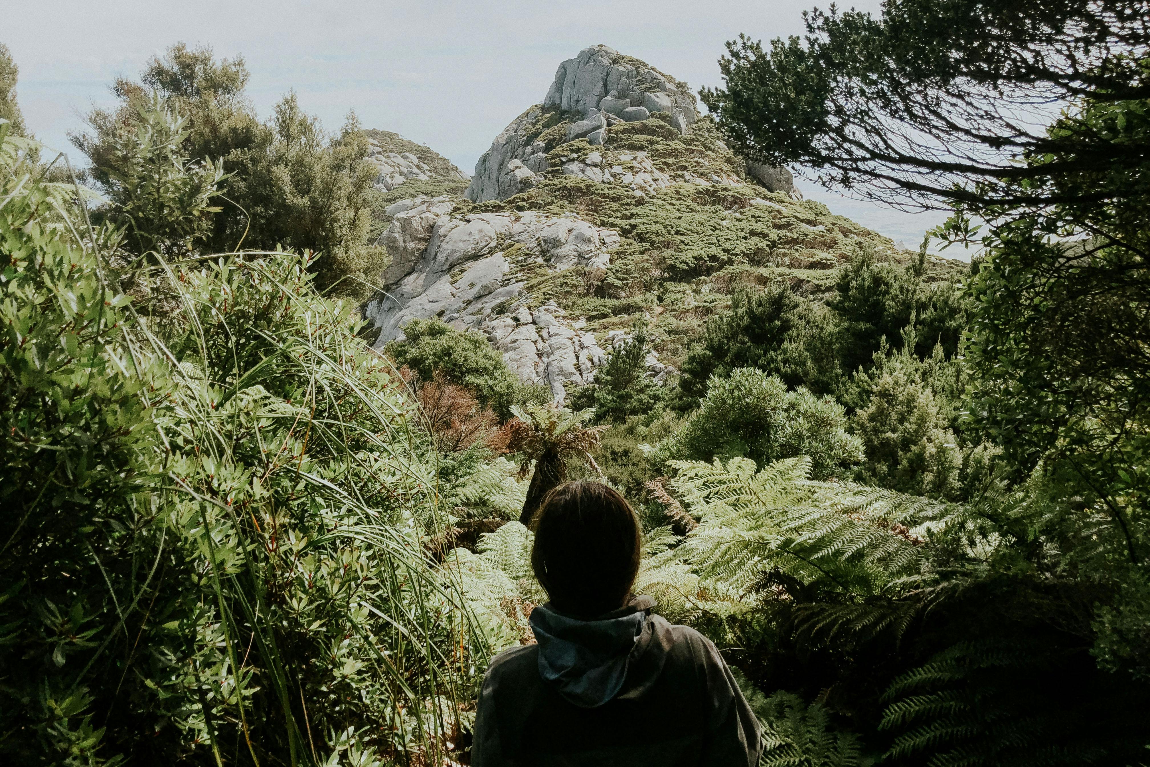 Strzelecki National Park