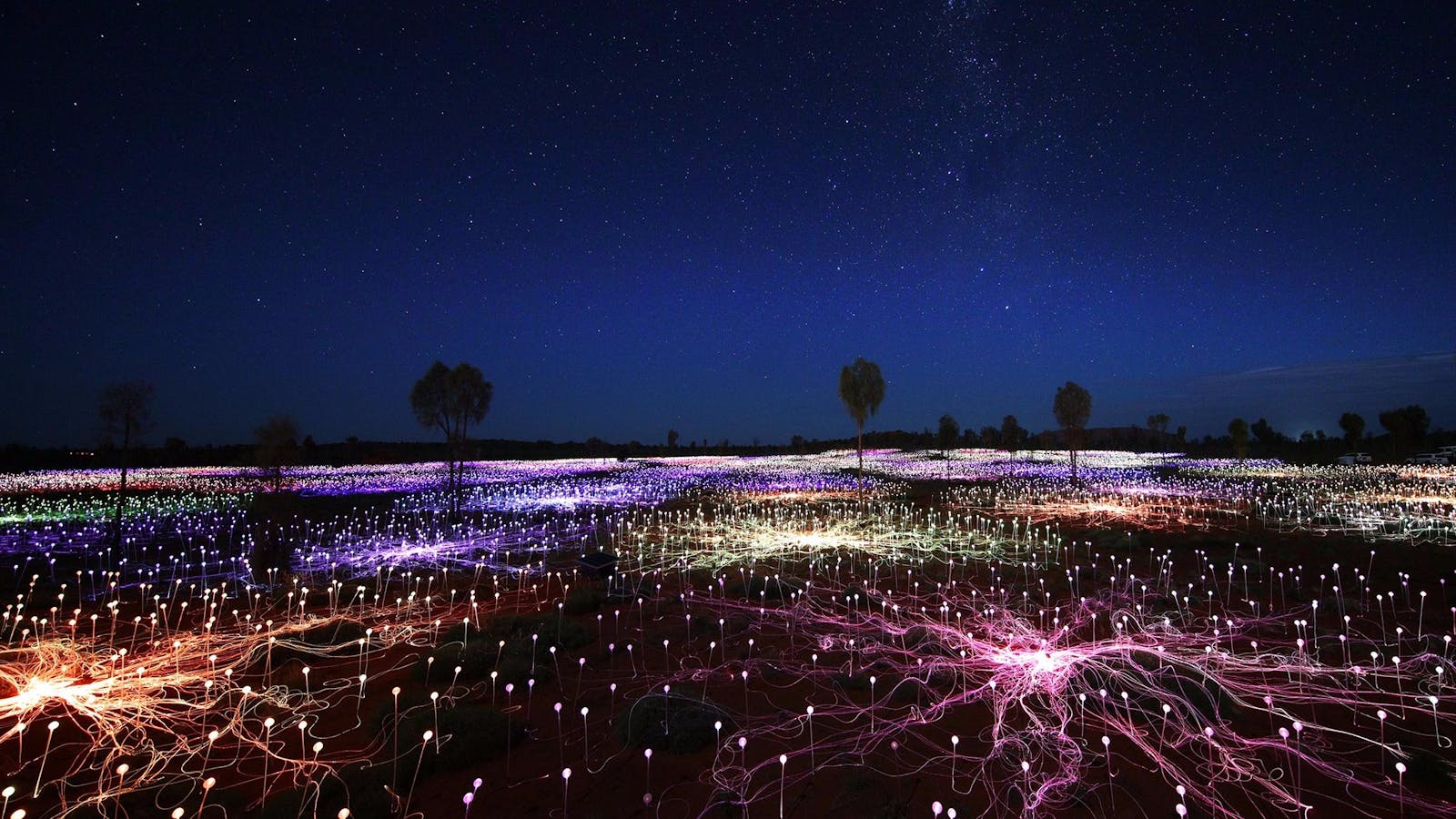 Field of Light Tours