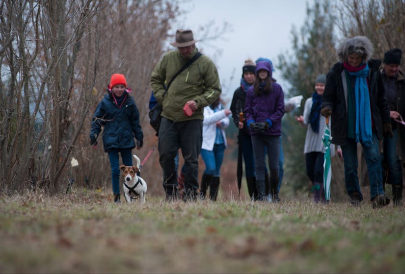 Image of the event 'The Truffle Festival - Canberra Region | Turalla Truffle Hunt'