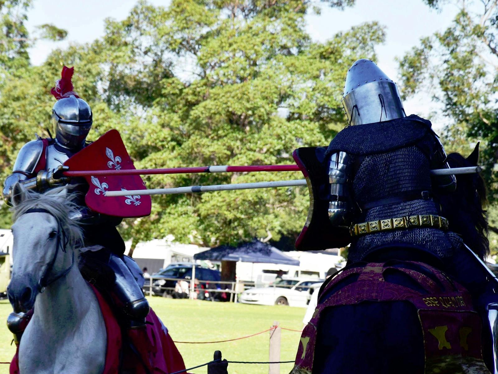 Image for Berry Celtic Festival