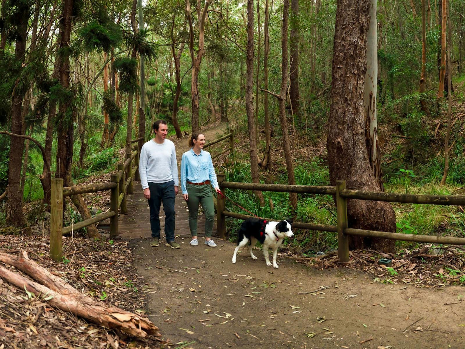 People walking their dog on walking track People walking their dog on walking track