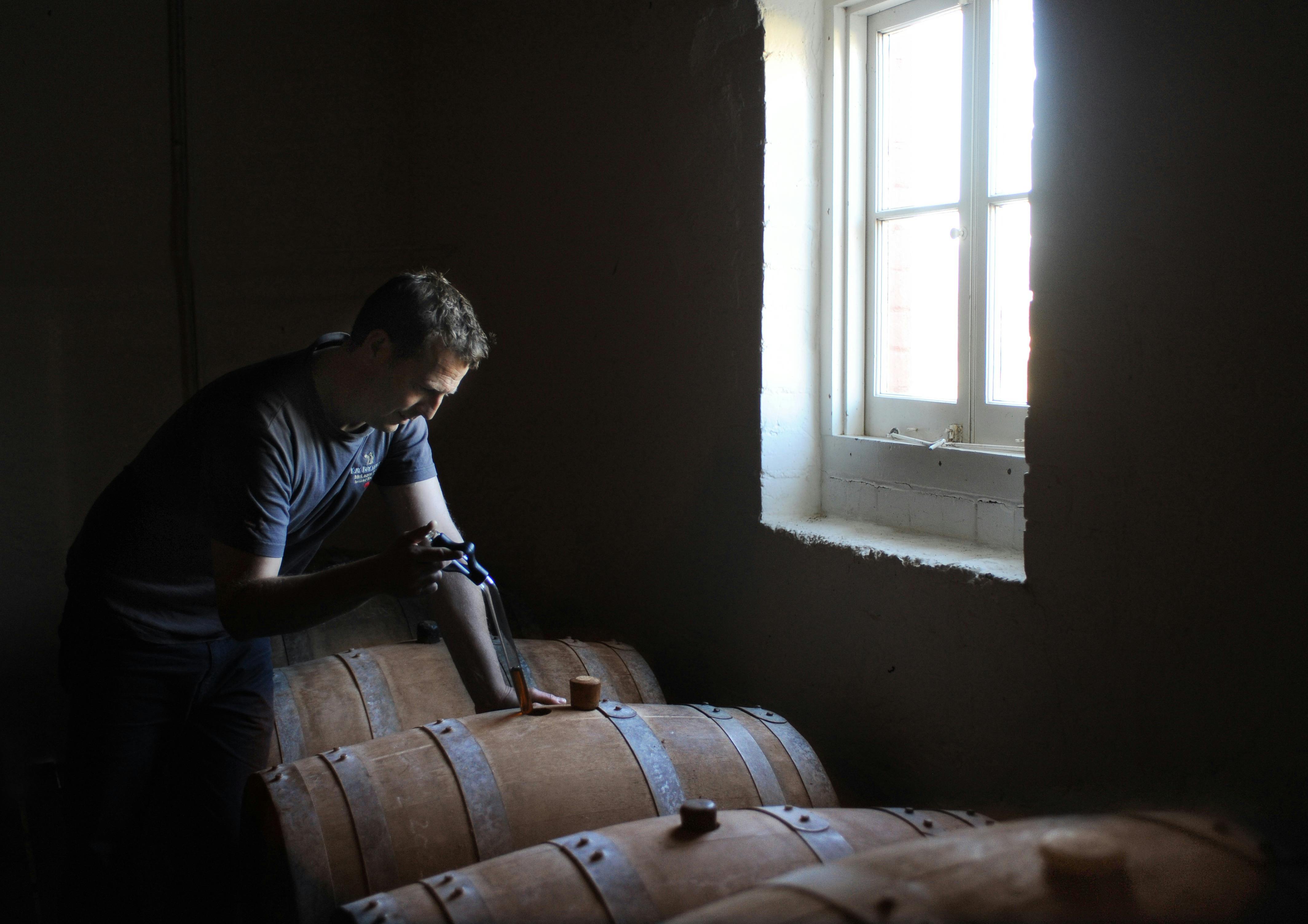 barrel tasting