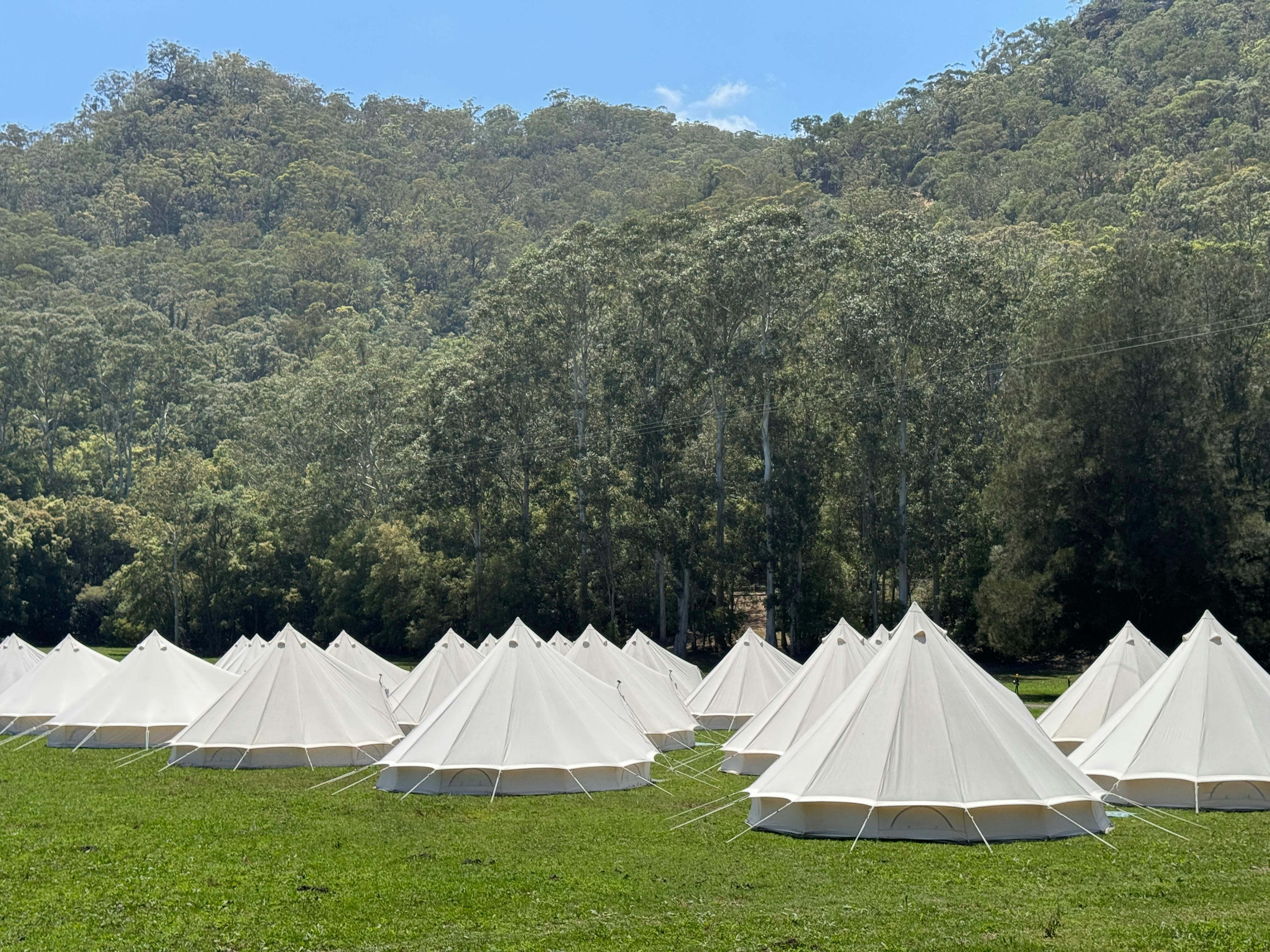 기업 크리스마스 파티