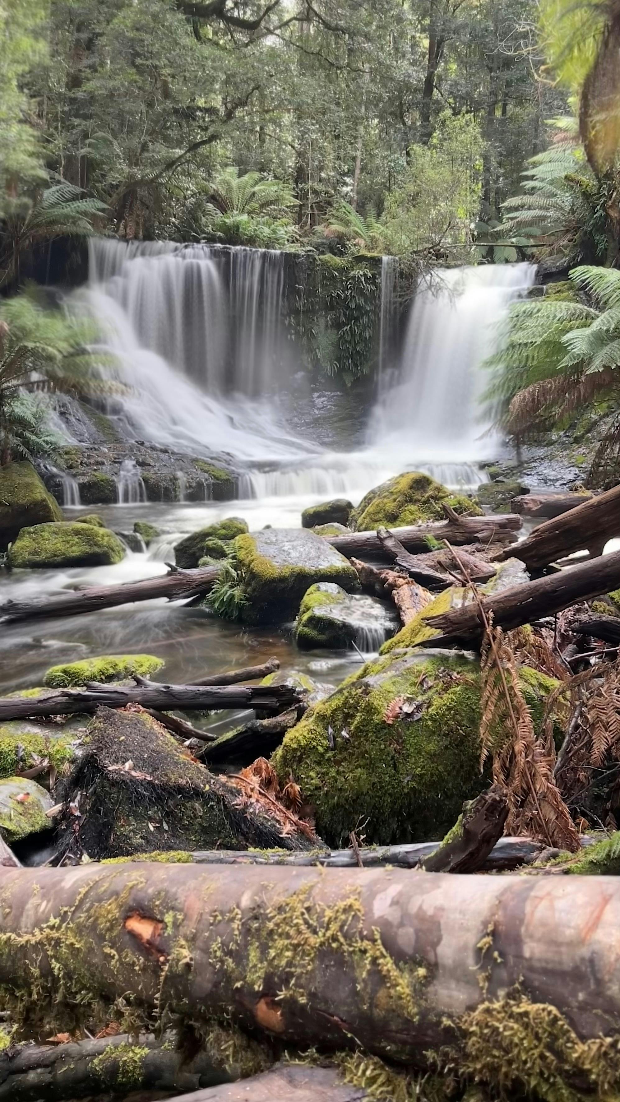 Russell Falls