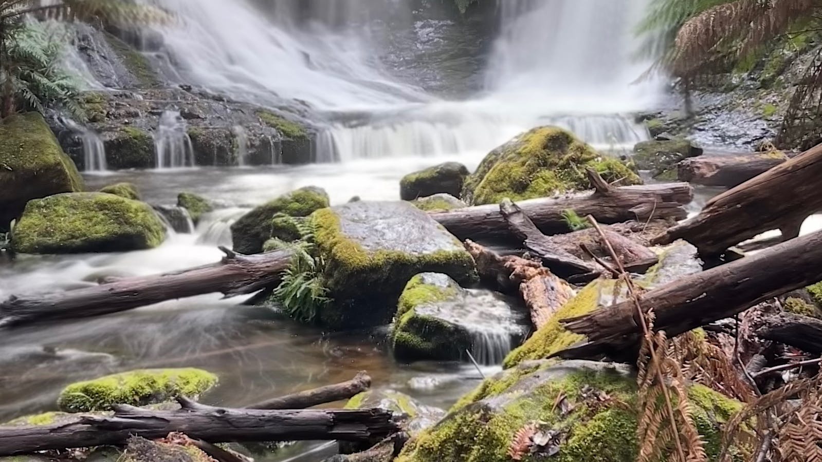 Russel Falls