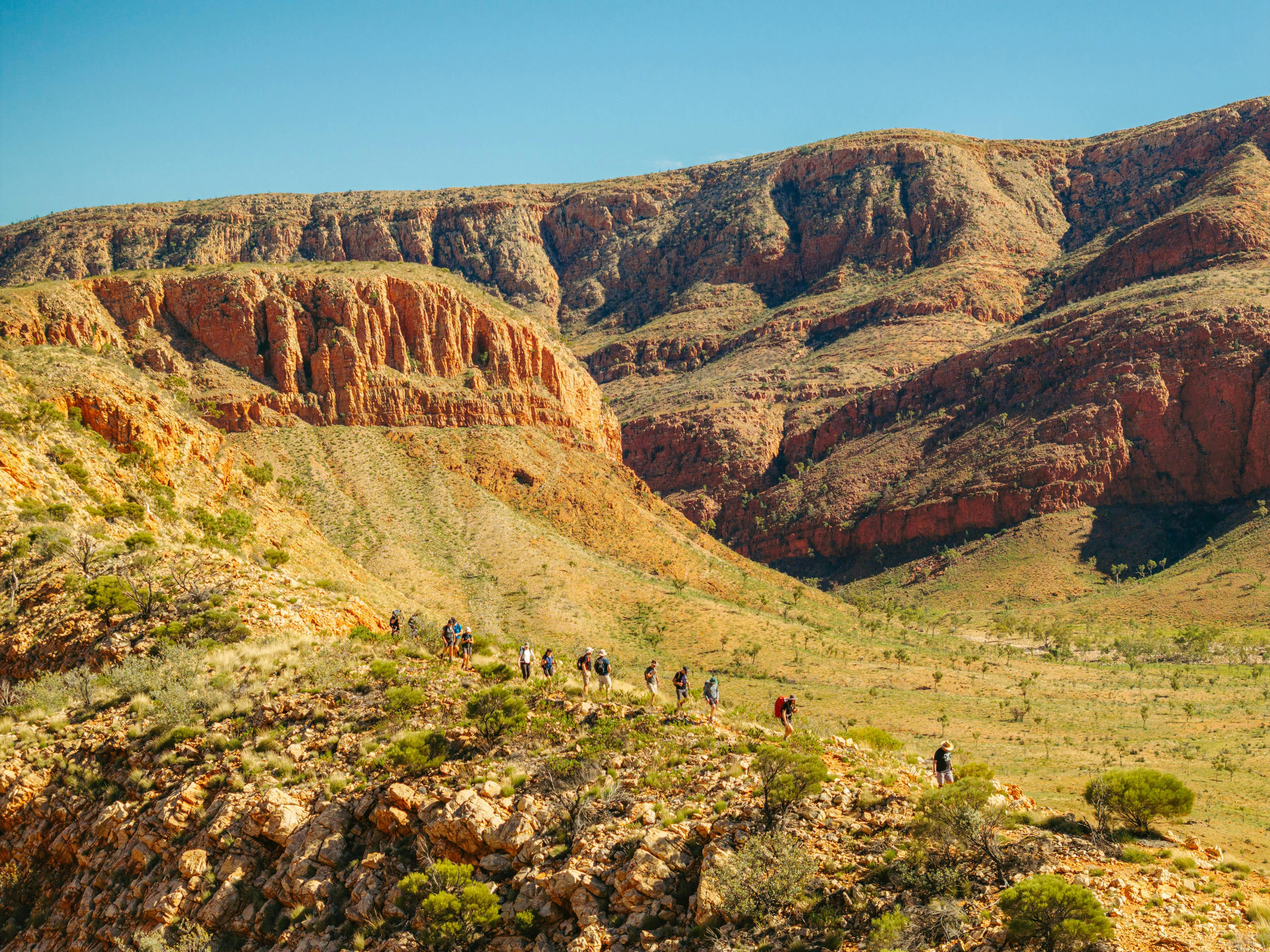 Larapinta Signature Walk