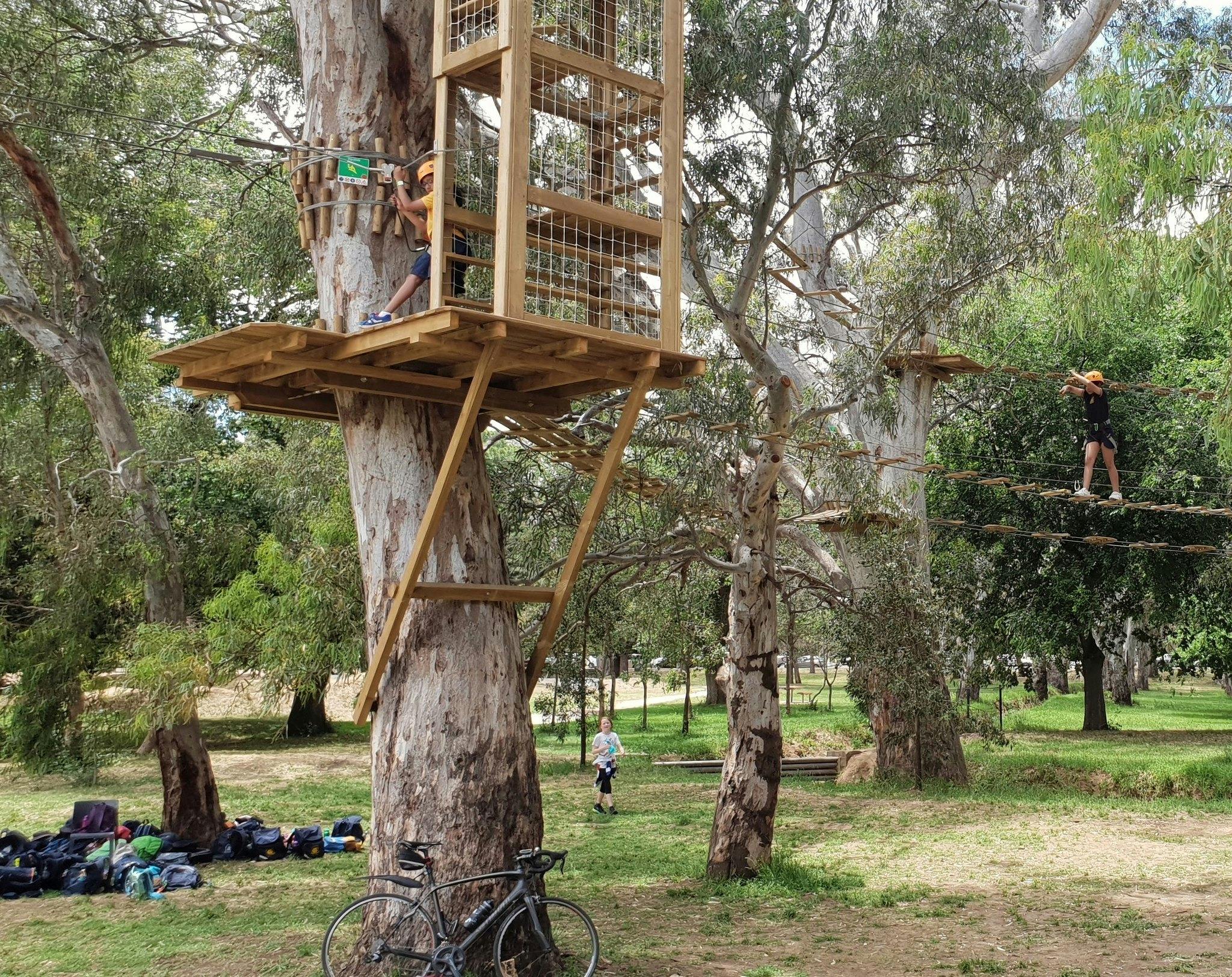 Tree Climb adventure course in Blue Gum Park / Kurangga (Park 20)