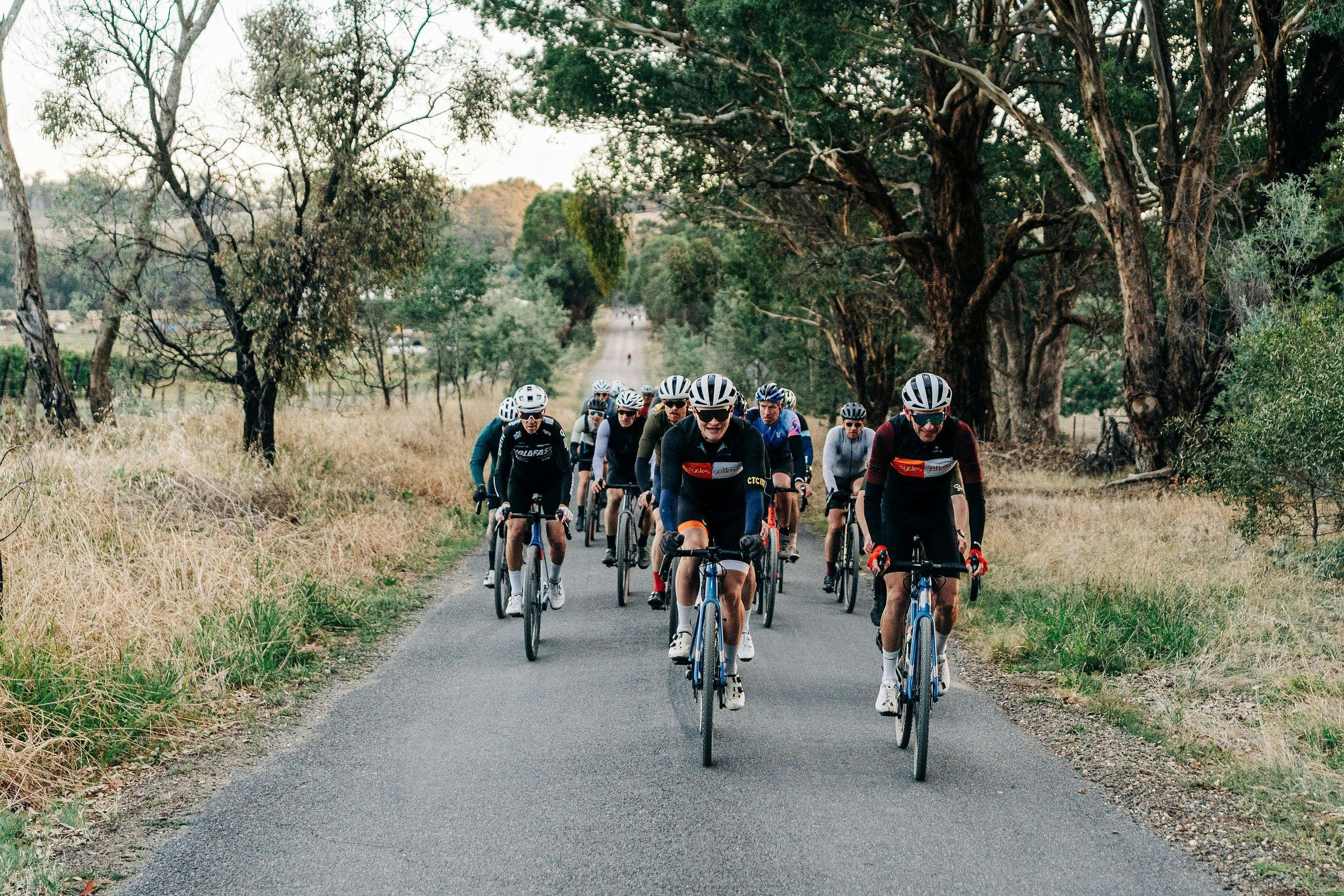 Group of cyclists on bitumen road riding a back road among trees.