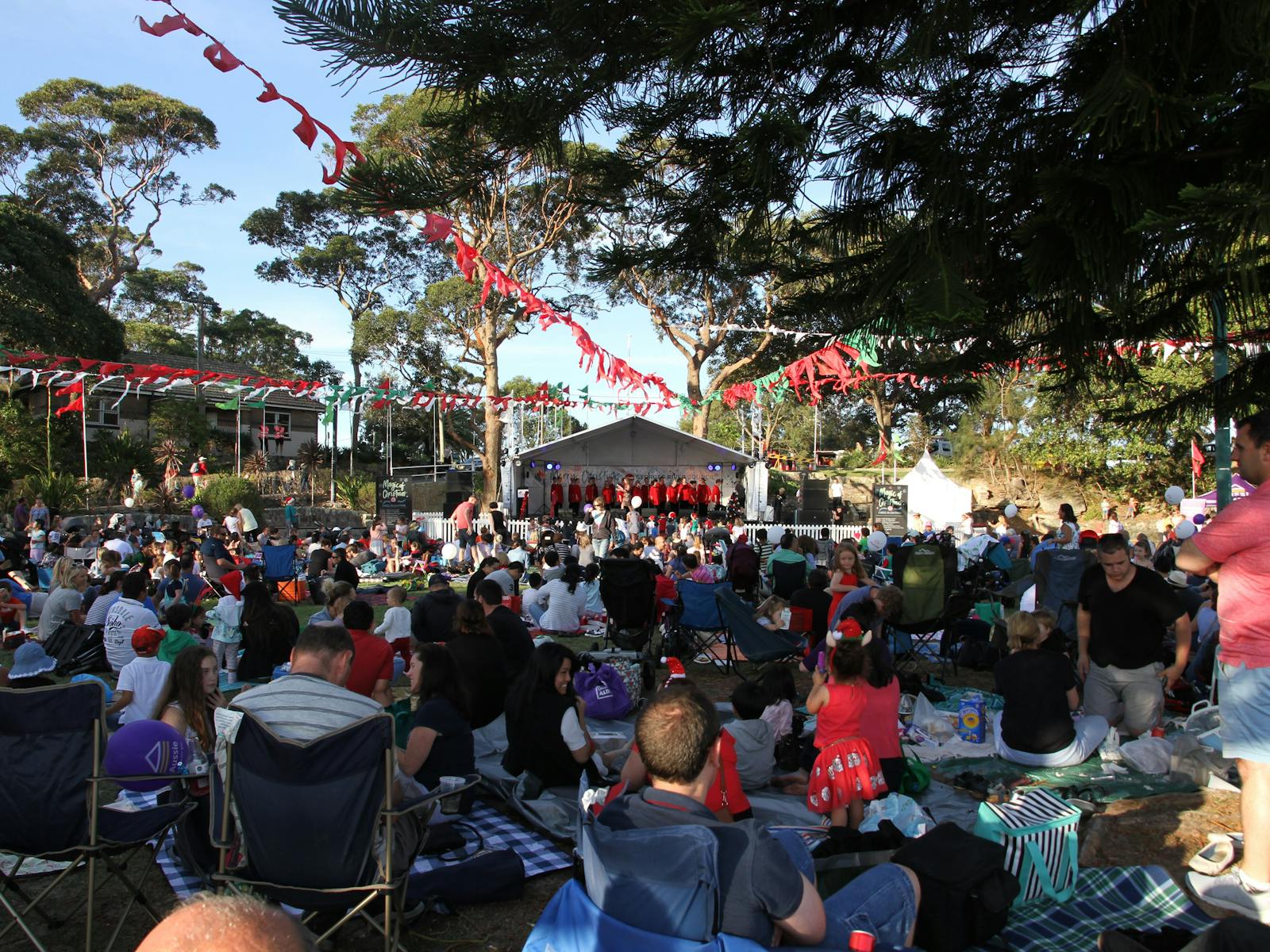 Image for Georges River Council Magic of Christmas at Carss Bush Park