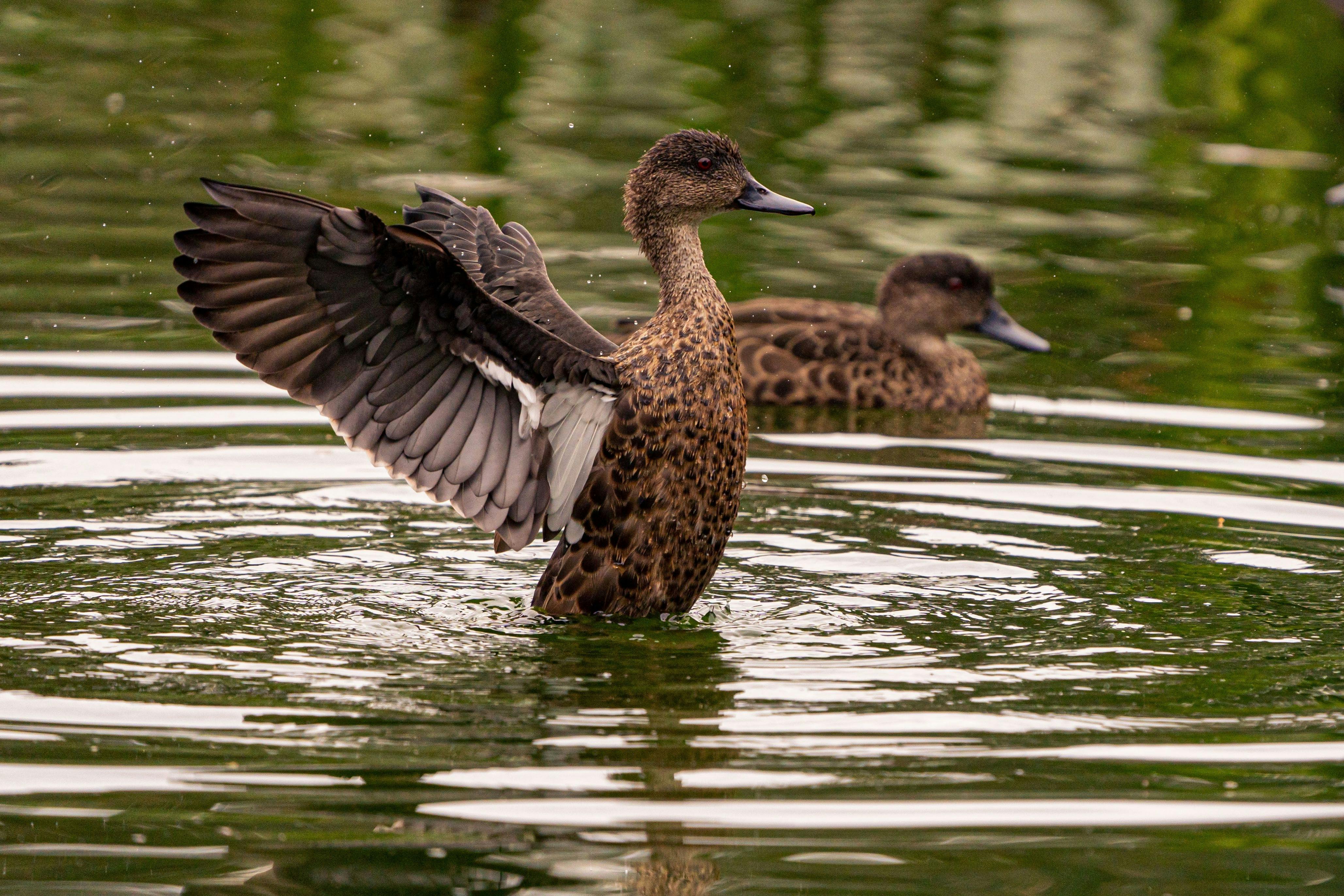 Adelaide Hills Photography Tour