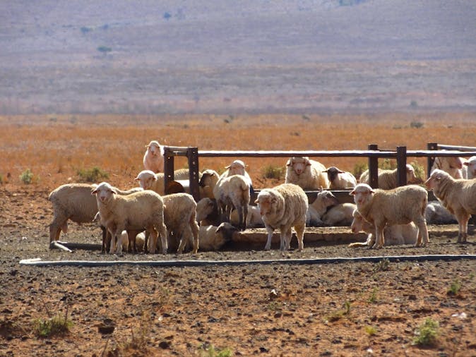 7 Day Tour Flinders Explorer