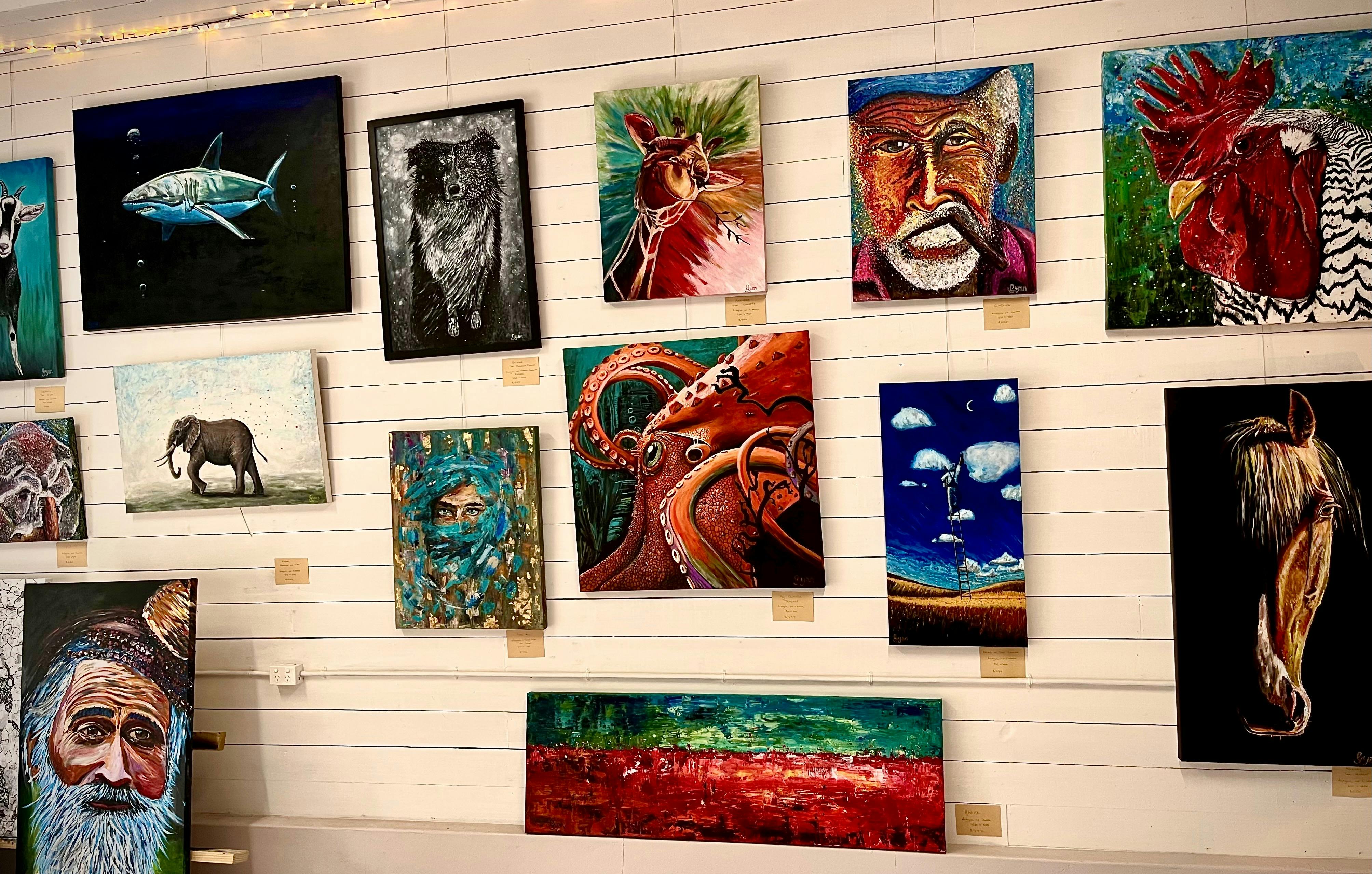 Macleay Valley Studio