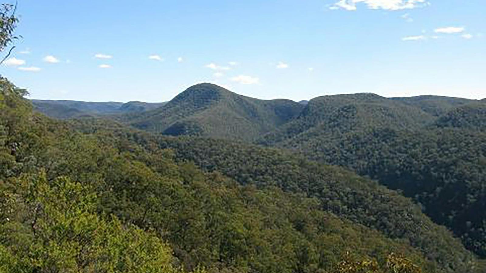 blue mountains