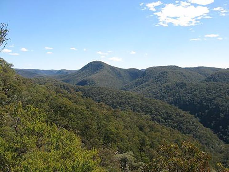 blue mountains