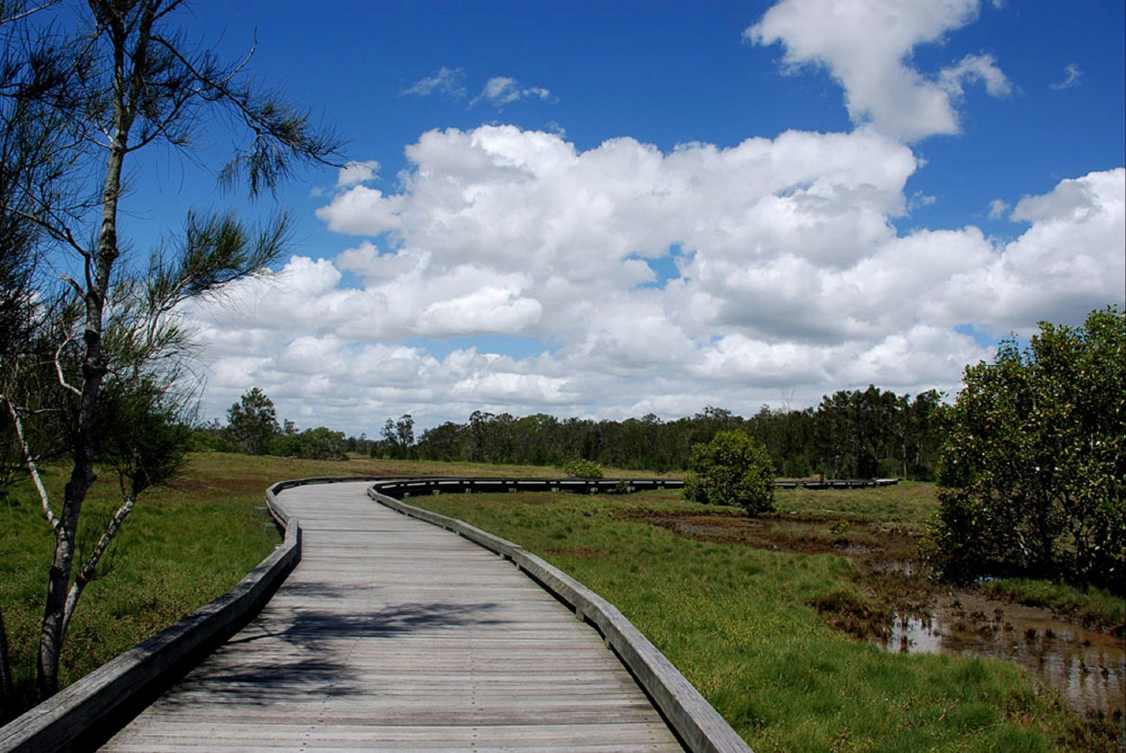 Boondall Wetlands Reserve - Attraction - Queensland