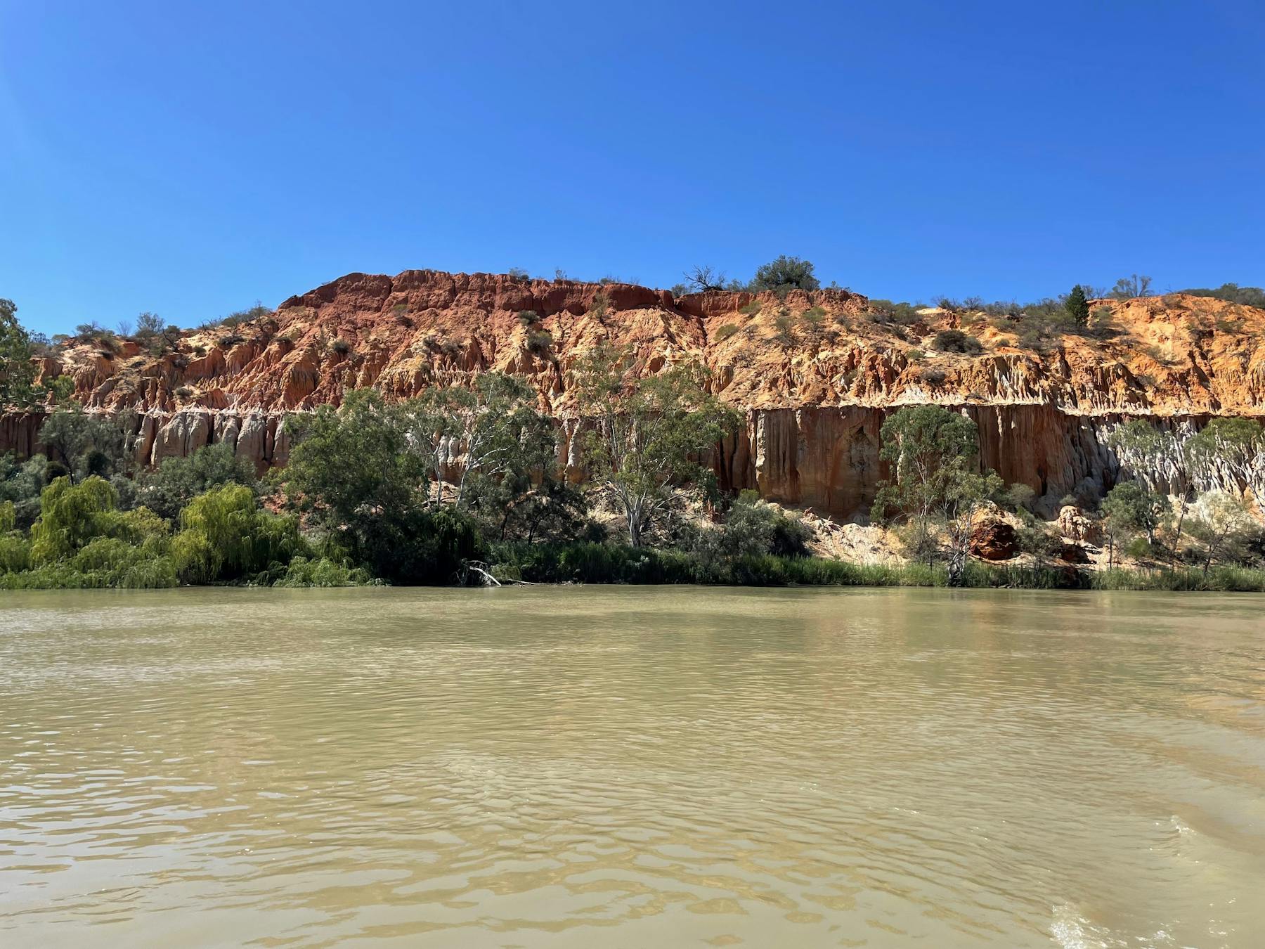 Renmark River Cruises