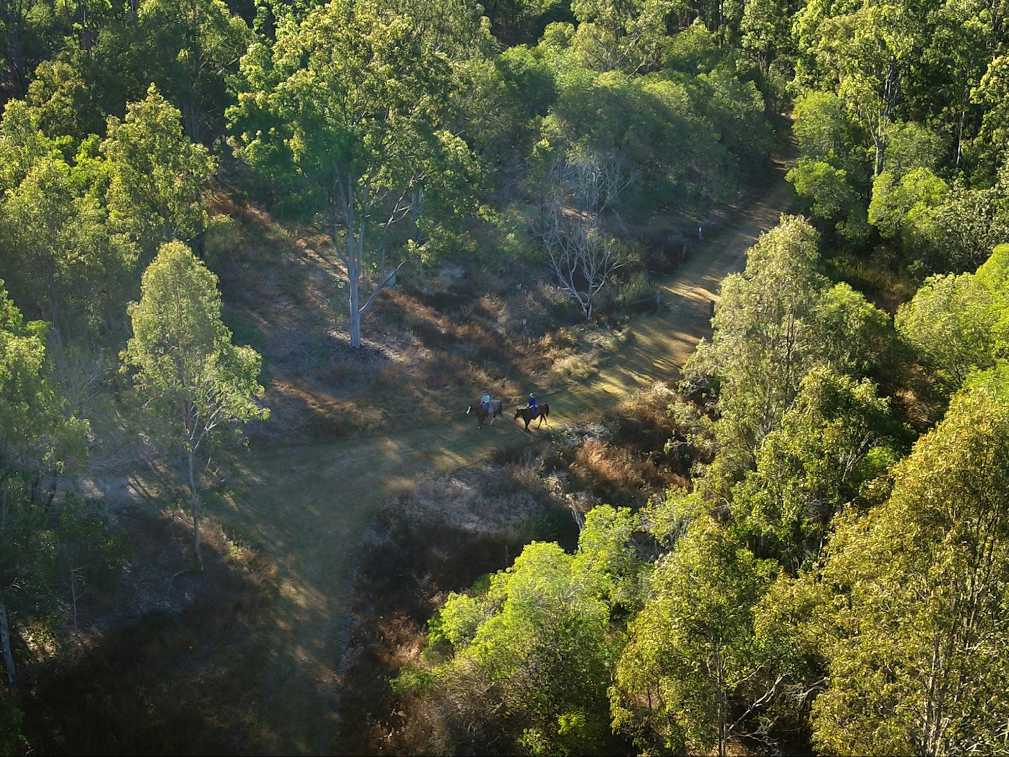 Goolman lookout trail
