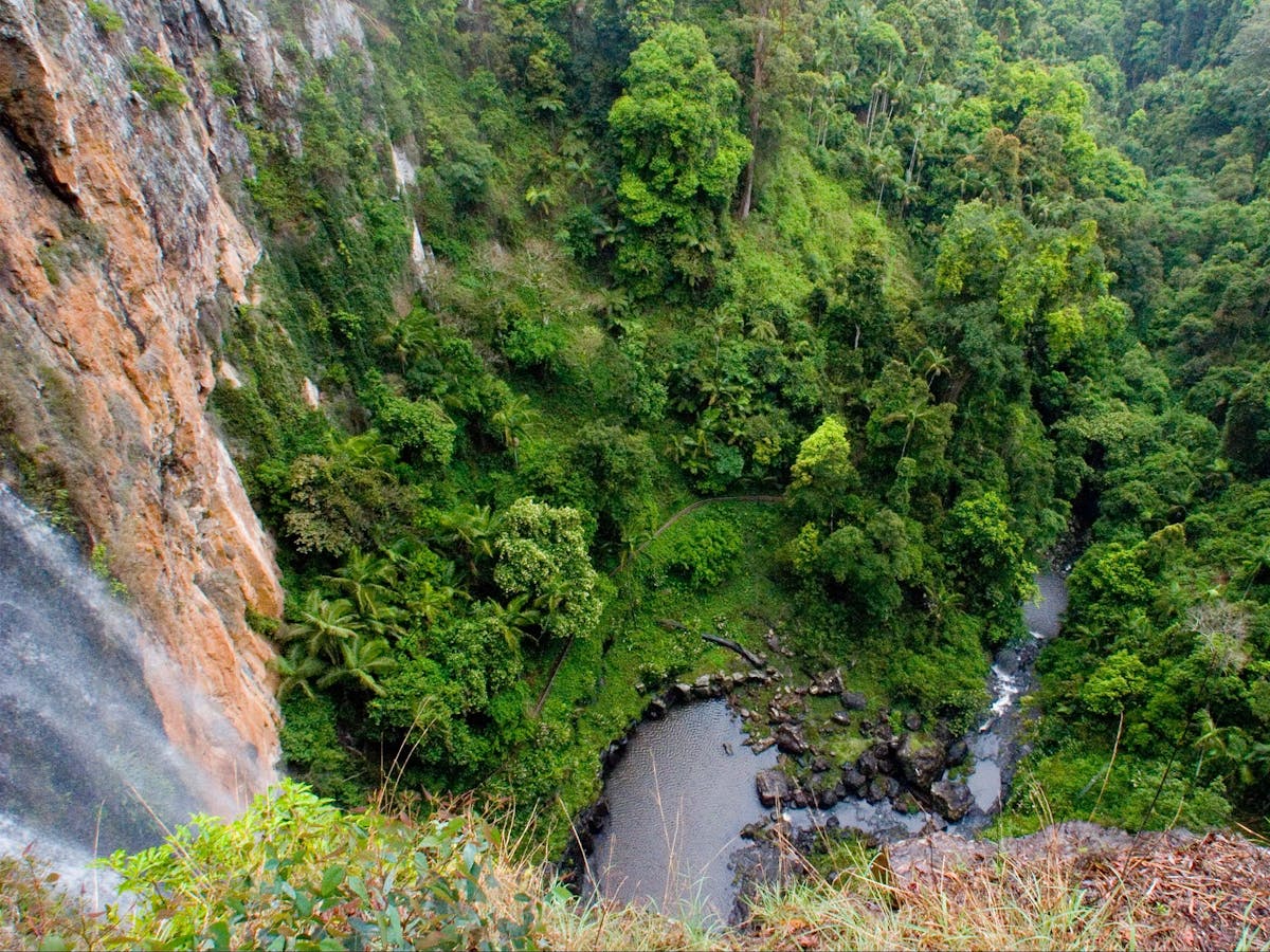 View above falls looking down to pool below, surrounded by rainforest.
