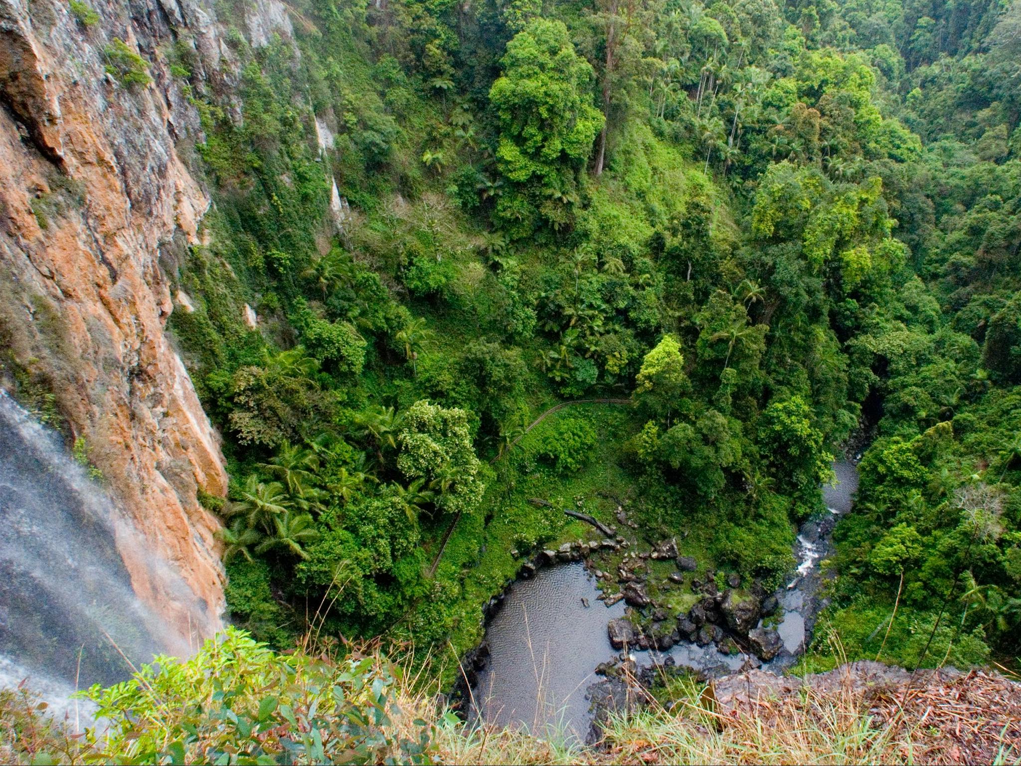 View above falls looking down to pool below, surrounded by rainforest. View above falls looking down to pool below, surrounded by rainforest.
