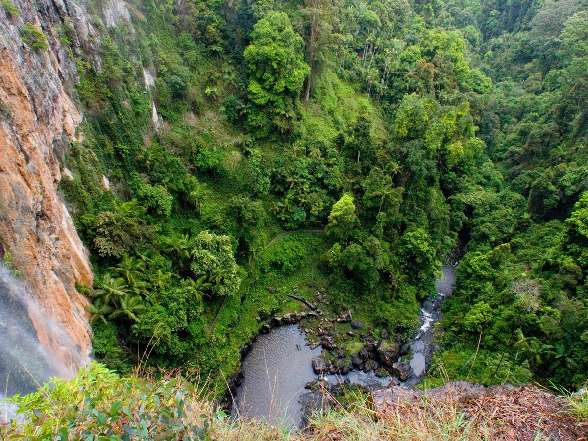 Purling Brook Falls circuit, Springbrook National Park Journey