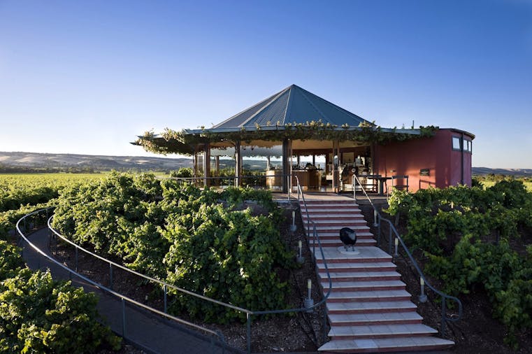 McLaren Vale Hop On Hop Off Wine Tour