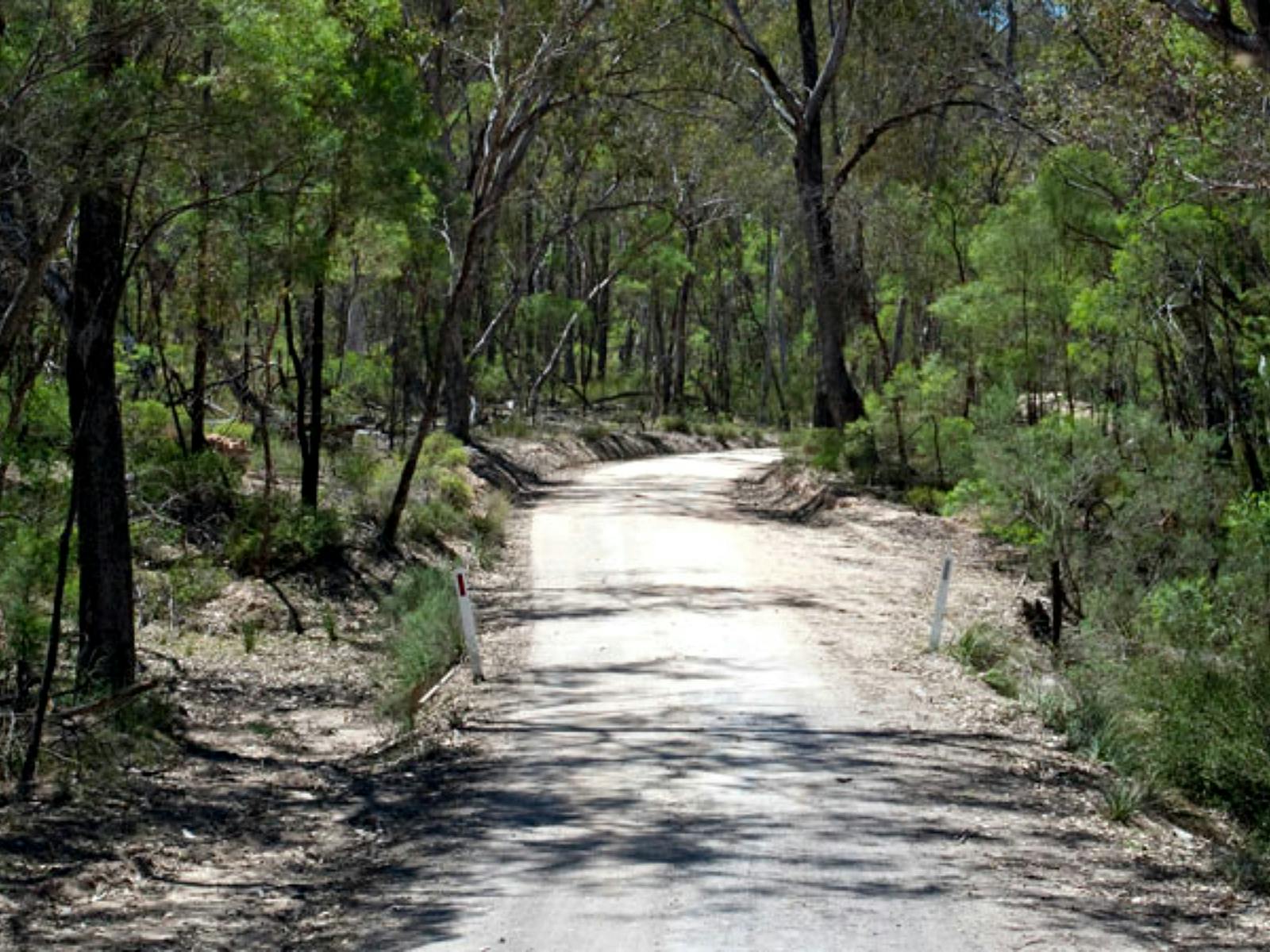Big River Drive, Goulburn-River-Nationalpark. Foto: Nick Cubbin