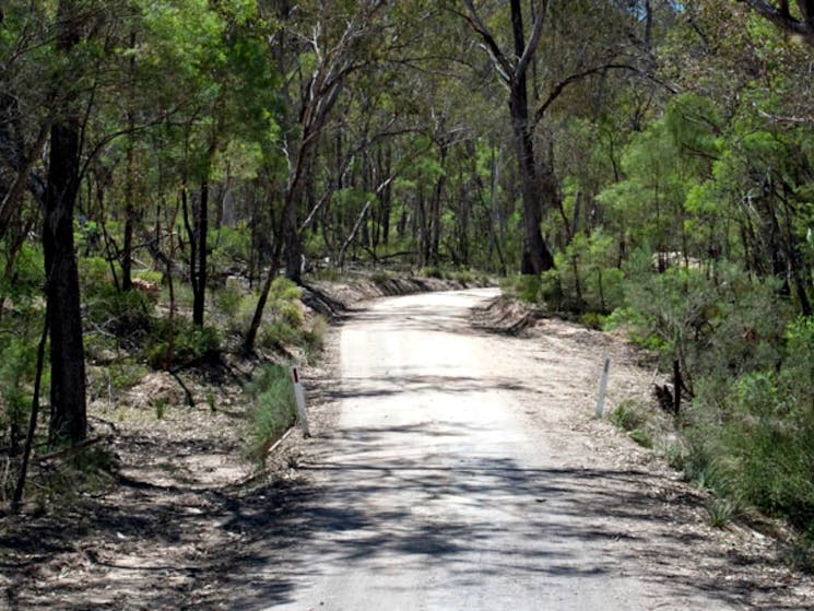 Big River drive, Goulburn River National Park. Photo: Nick Cubbin